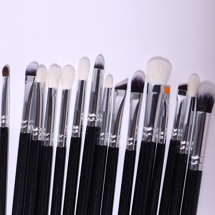 PROFESSIONAL EYE BRUSH SET (15 PIECES)