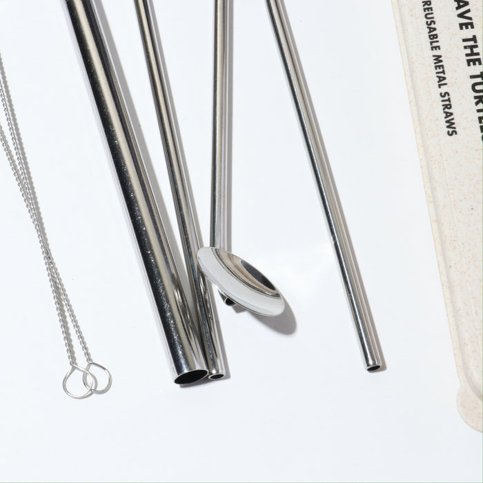 SILVER METAL STRAW 4-PK