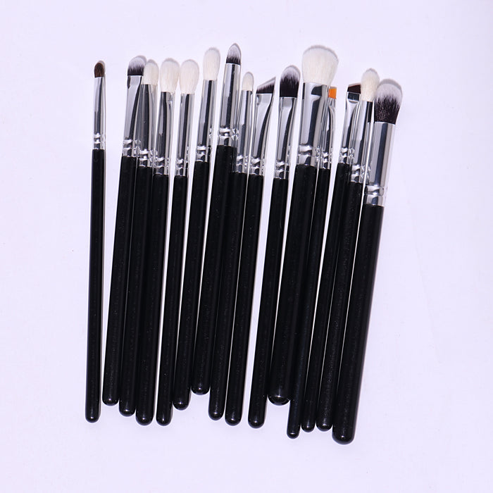 PROFESSIONAL EYE BRUSH SET (15 PIECES)